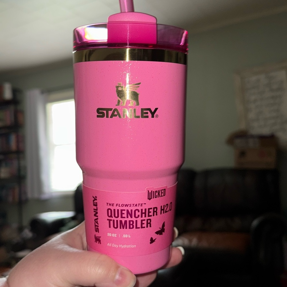 COPY - Wicked (Glenda) Themed Stanley 20oz cup
